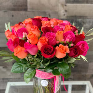 Roseblomst bilder — Roseblomst Bakgrunner