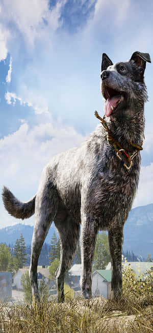 Iphone Xs Far Cry 5 Bakgrunn — iPhone 11 Pro Bakgrunner