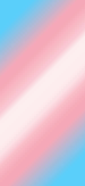 Trans Phone — Pixel 10 Pro Bakgrunner