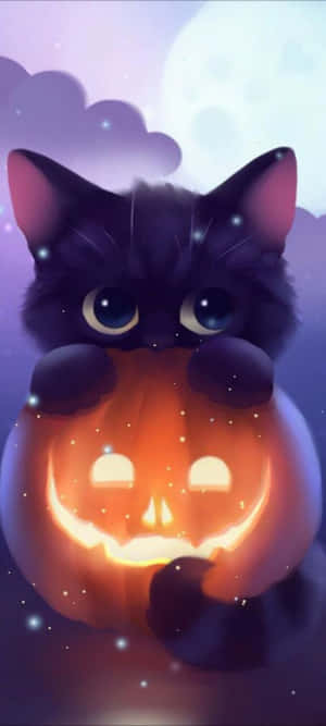 Halloween katt bilder — Pixel 10 Bakgrunner
