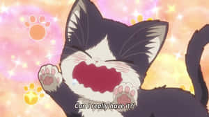 Anime katt bilder — Søt katt Bakgrunner
