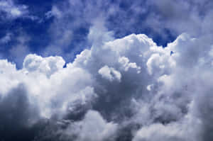 Blå himmel bakgrunn — Blå himmel Bakgrunner