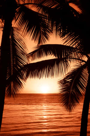 Strand solnedgang bakgrunn — Strandsolnedgang Bakgrunner