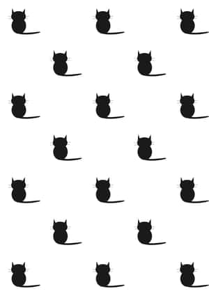Bilder av svarte katter — Cat Noir Bakgrunner