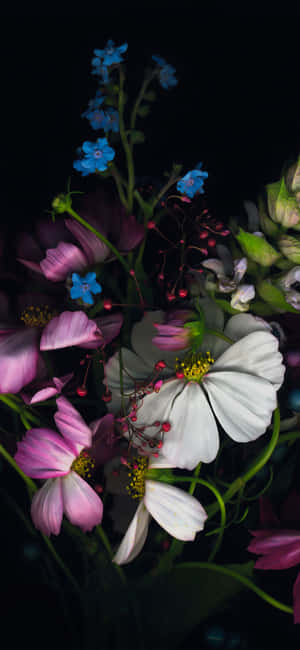 en vase med blomster — Redmi Bakgrunner