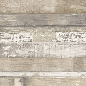Estetisk beige bøketre — Estetisk beige Bakgrunner