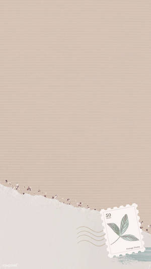 Estetisk beige vektorpapir — Estetisk beige Bakgrunner