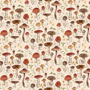 Estetisk vintage søt sopp beige — Estetisk kunst Bakgrunner