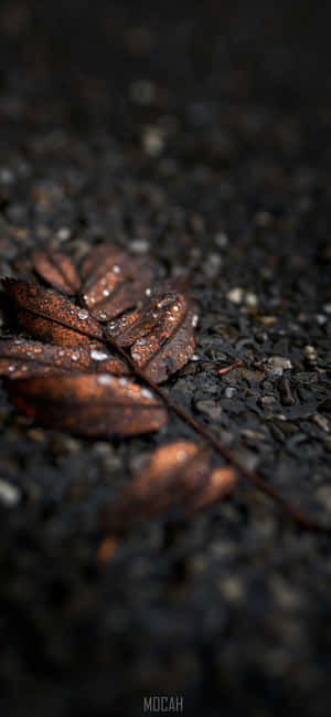 Bronse [bakgrunnsbilde] — Oppo K13x Bakgrunner