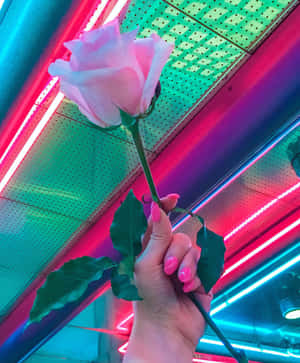 Neon Aesthetic bilder — Neongrønn estetikk Bakgrunner