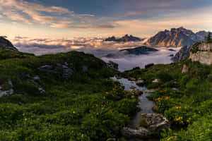 Vakker naturbakgrunn — Vakker natur Bakgrunner