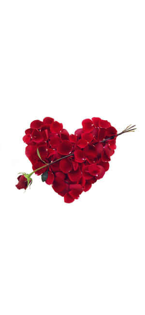 Valentinsdag Iphone — Vivo X500 Bakgrunner