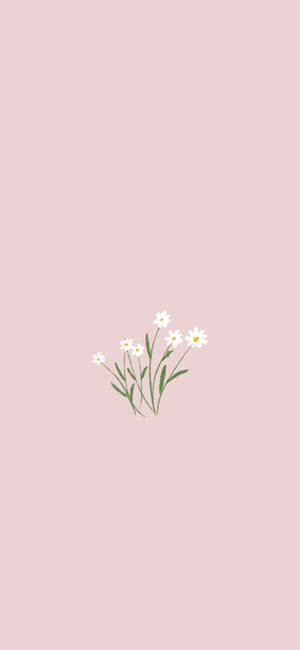 Minimalistisk Vår — Pixel 9 Pro Bakgrunner