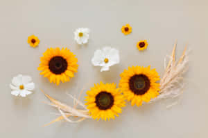 Blomsterbilder — Blomstermønster Bakgrunner