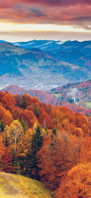 Fall Iphone bakgrunn — Xiaomi 17T Bakgrunner
