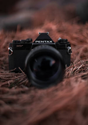 Bilde av svart Pentax-kamera på en fuglerede-tapet. — Oppo Pad 6 Bakgrunner