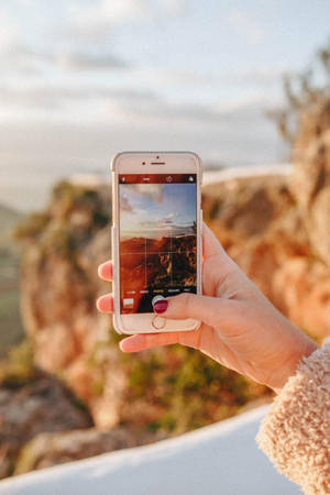 Fanget natur iPhone — iPhone 14 Bakgrunner