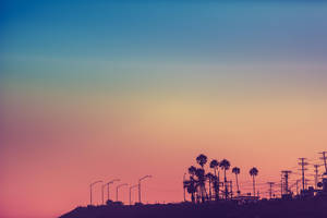 Fargerik solnedgangs-bakgrunn fra Los Angeles — Sunset Boulevard Bakgrunner