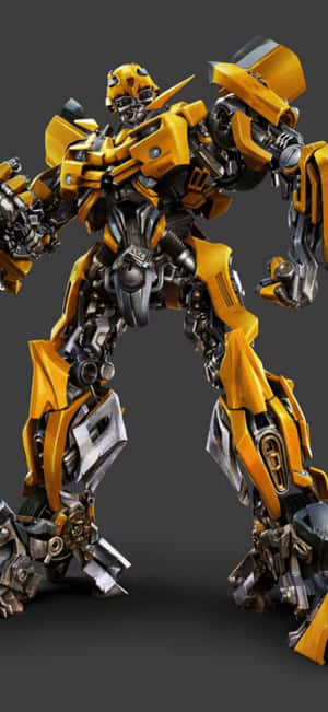 Bumblebee-bilder — OnePlus 11 Bakgrunner