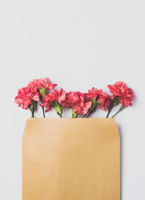 Små og søte rosa blomster bakgrunnsbilde. — OnePlus Pad 2 Pro Bakgrunner