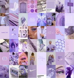 Lilla collage — Lilla estetisk GIF Bakgrunner