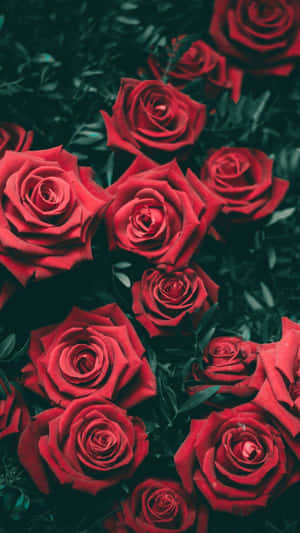 Fengslende blomsterbakgrunn til telefonen din