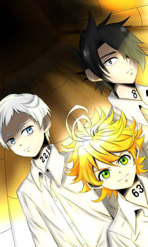 Promised Neverland bakgrunn — Tecno Megapad Bakgrunner