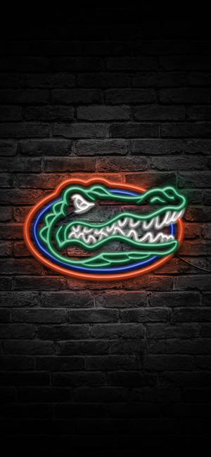 Florida Gators Logo I Neonlys bakgrunnsbilde — iPhone 11 Pro Bakgrunner