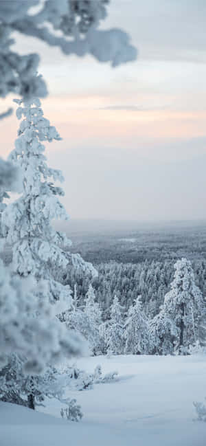 Snøbakgrunn — Xiaomi Bakgrunner