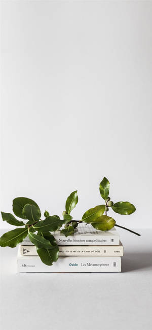 Plante Iphone — iPhone 15 Pro Bakgrunner