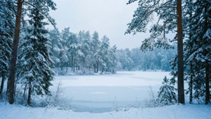 Snødekt skog og frossen innsjø i ultrabredt vinterlandskap.