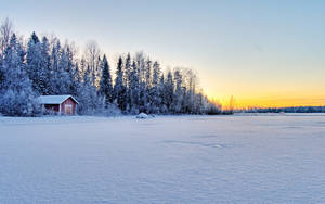 Frossen innsjø i kald vinter bakgrunnsbilde — Kald Bakgrunner