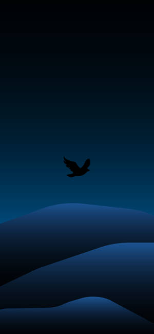 Fugl og landskap minimal mørk iPhone — iPhone 12 Bakgrunner