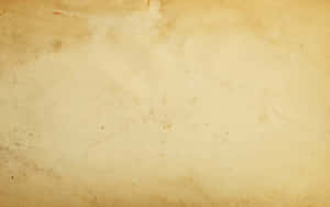 Gammelt papir bakgrunn — Beige estetikk GIF Bakgrunner
