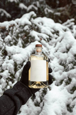 Gin på snø — Låseskjerm Bakgrunner