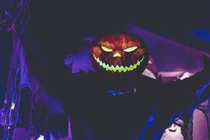 Smilende mørkt gresskar med fiolette vinger til allehelgensaften — Disney Halloween Bakgrunner