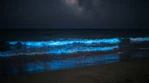 4K nattlig hav, blå bølger om natten, nattlig hav-bakgrunn, melkeveistrand, glødende strand, bioluminescerende bølger, Natur 4K, Natur, Strand, Havbakgrunn, Hav