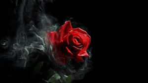 Gotisk røyksstetikk med rose — Rose Aesthetic Bakgrunner