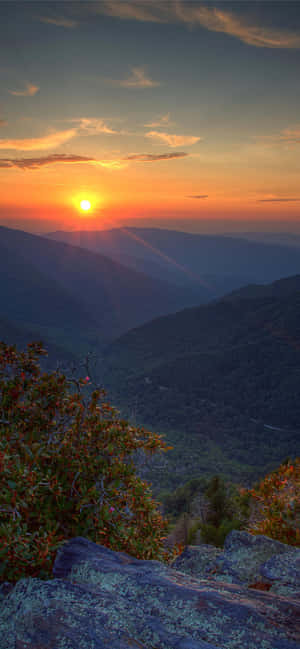 Great Smoky Mountains National Park Gylden Sol — Vivo X500 Pro Bakgrunner