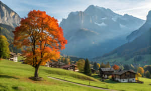Landsbybilder, Tre, Fjell, Fjellestetiske bilder, Natur, Natur 4k, Naturlige skjønnhetsbilder, Naturlig, Landskapsbilder — 4K natur Bakgrunner