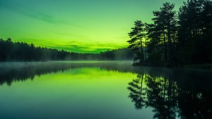En fredelig innsjø speiler en levende grønn himmel, innrammet av furutrær og tåke. — Grønn himmel Bakgrunner
