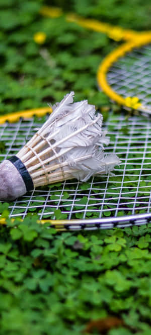 Pixel 3 Badminton Bakgrunn — OnePlus 11 Bakgrunner