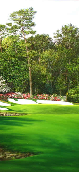 Iphone X Golfbane Bakgrunn — iPhone 11 Pro Bakgrunner