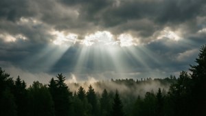 Solstråler som bryter gjennom skyene over en tåkete skog. — Himmelutsikt Bakgrunner