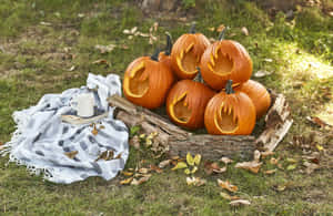 Halloween-gresskarbilder — Skummel halloween Bakgrunner