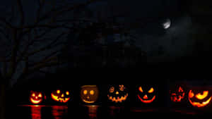 Halloween-gresskar bakgrunn — Halloween-GIF Bakgrunner