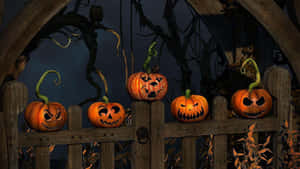 Halloween Teams-bakgrunn — Halloween-GIF Bakgrunner