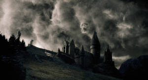 Harry Potter B&W Galtvort-estetikk