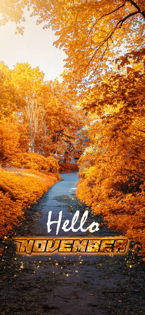 Hei November gul hagegang bakgrunnsbilde — iPhone 12 Pro Bakgrunner