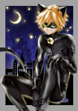 Cat Noir-bilder